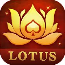 v rummy real cash download